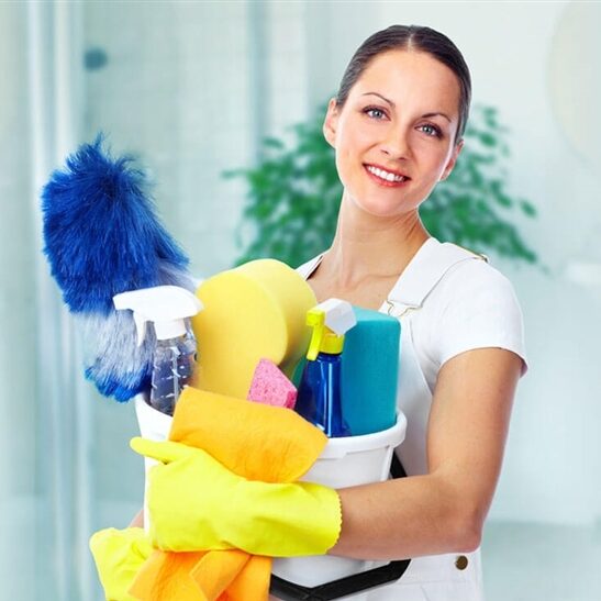 Ev Temizliği